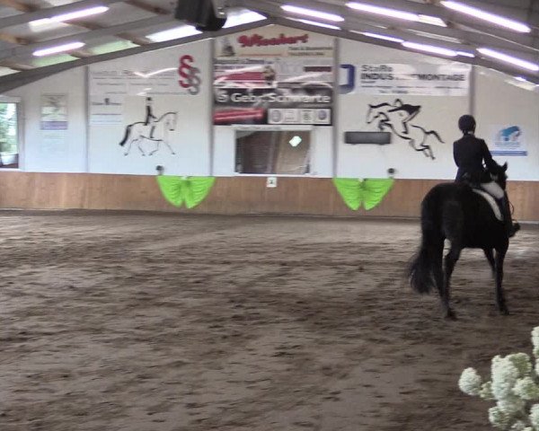 Reitturnier Dohrener Pferdetage 2017