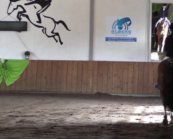 Reitturnier Dohrener Pferdetage 2017