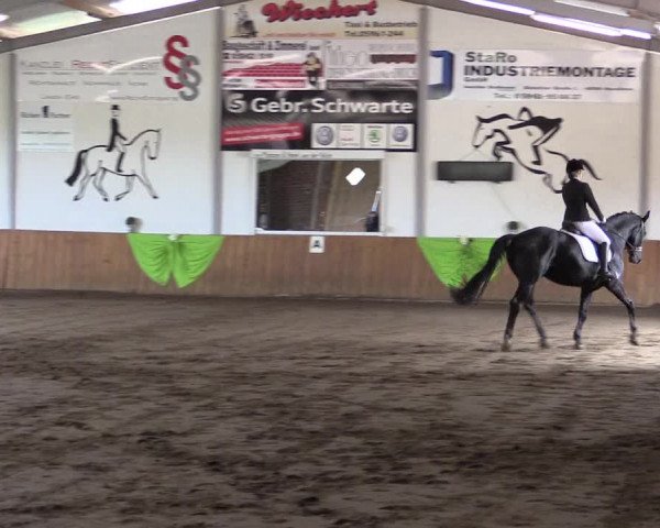 Reitturnier Dohrener Pferdetage 2017