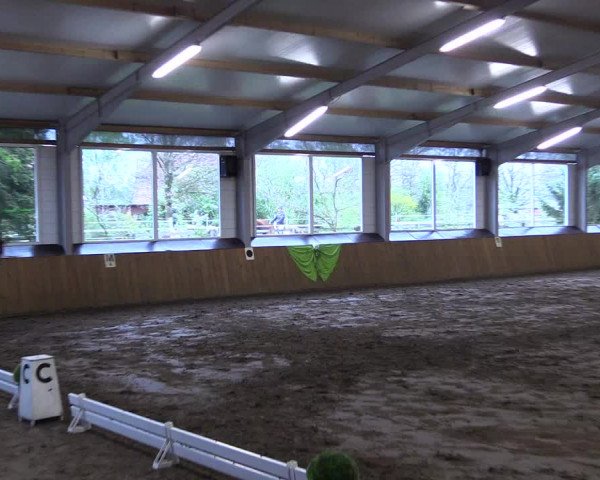 Reitturnier Dohrener Pferdetage 2017