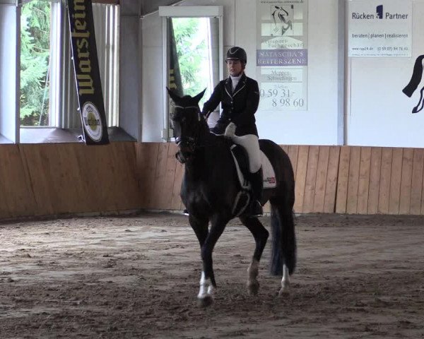 Reitturnier Dohrener Pferdetage 2017