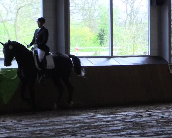 Reitturnier Dohrener Pferdetage 2017