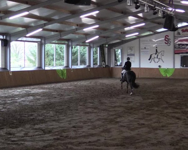 Reitturnier Dohrener Pferdetage 2017