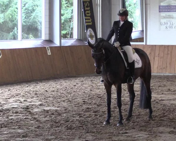 Reitturnier Dohrener Pferdetage 2017