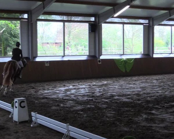 Reitturnier Dohrener Pferdetage 2017