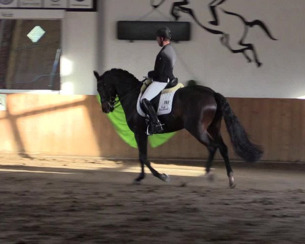 Reitturnier Dohrener Pferdetage 2017