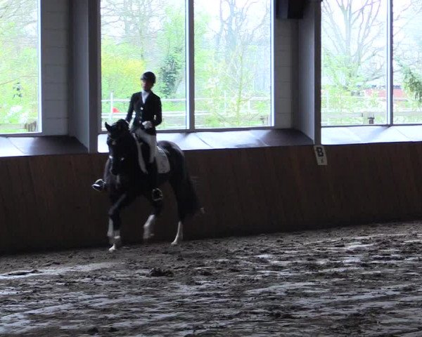 Reitturnier Dohrener Pferdetage 2017
