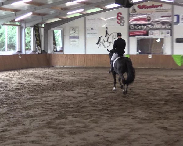 Reitturnier Dohrener Pferdetage 2017