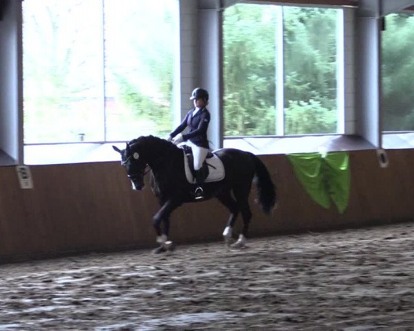 Reitturnier Dohrener Pferdetage 2017