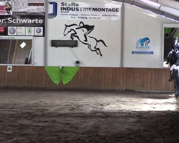 Reitturnier Dohrener Pferdetage 2017