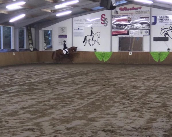 Reitturnier Dohrener Pferdetage 2017