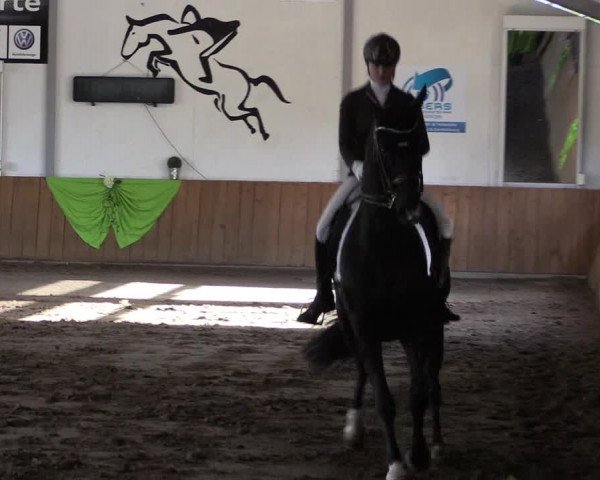 Reitturnier Dohrener Pferdetage 2017