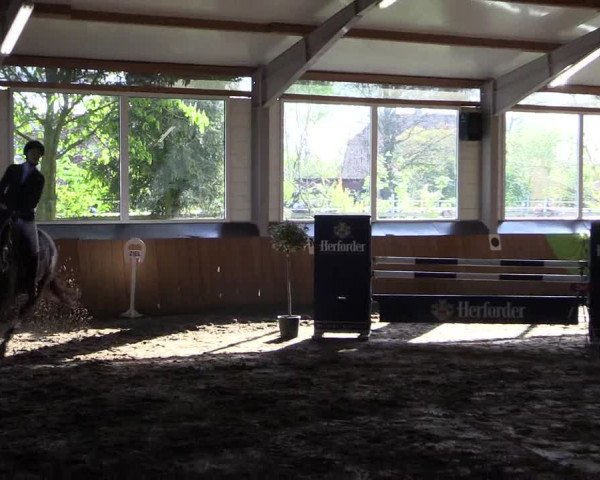 Reitturnier Dohrener Pferdetage 2017