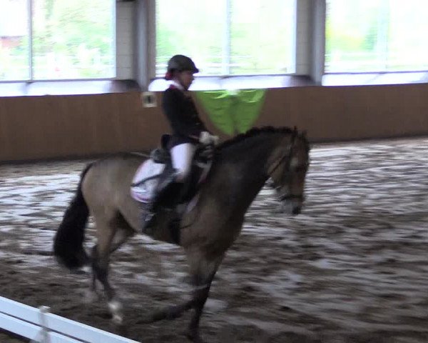 Reitturnier Dohrener Pferdetage 2017