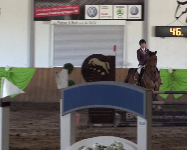 Reitturnier Dohrener Pferdetage 2017