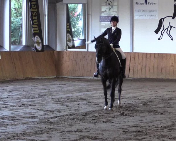 Reitturnier Dohrener Pferdetage 2017