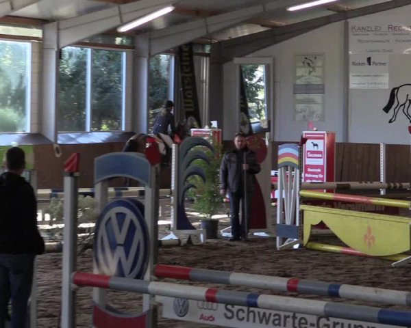 Reitturnier Dohrener Pferdetage 2017
