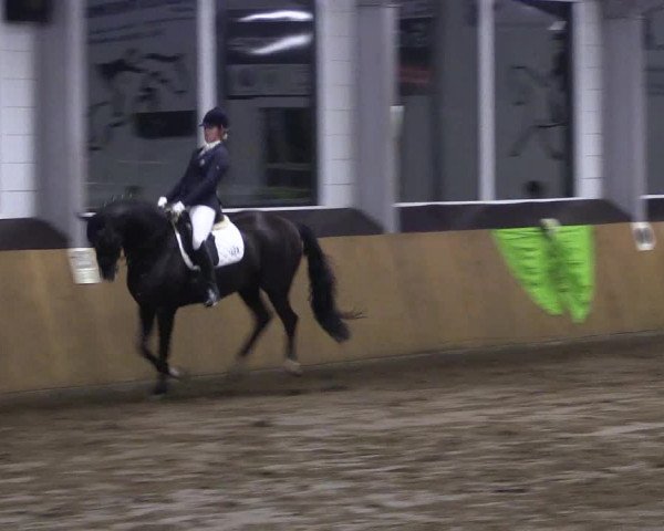 Reitturnier Dohrener Pferdetage 2017