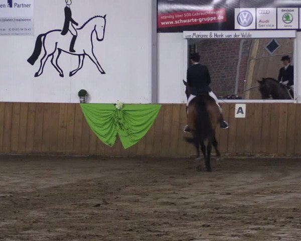 Reitturnier Dohrener Pferdetage 2017