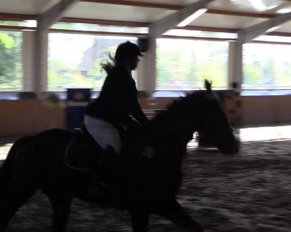 Reitturnier Dohrener Pferdetage 2017