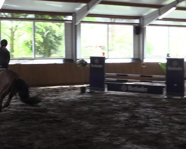 Reitturnier Dohrener Pferdetage 2017