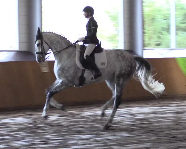 Reitturnier Dohrener Pferdetage 2017