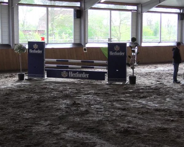 Reitturnier Dohrener Pferdetage 2017