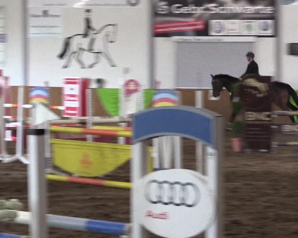 Reitturnier Dohrener Pferdetage 2017
