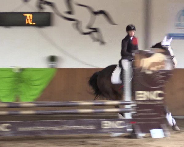 Reitturnier Dohrener Pferdetage 2017
