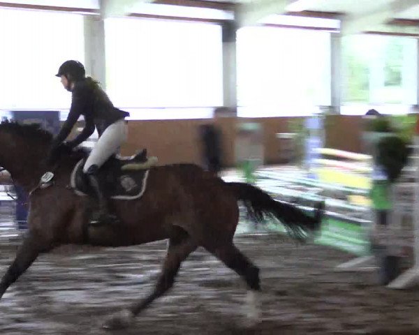 Reitturnier Dohrener Pferdetage 2017