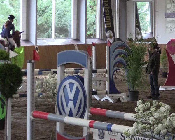 Reitturnier Dohrener Pferdetage 2017