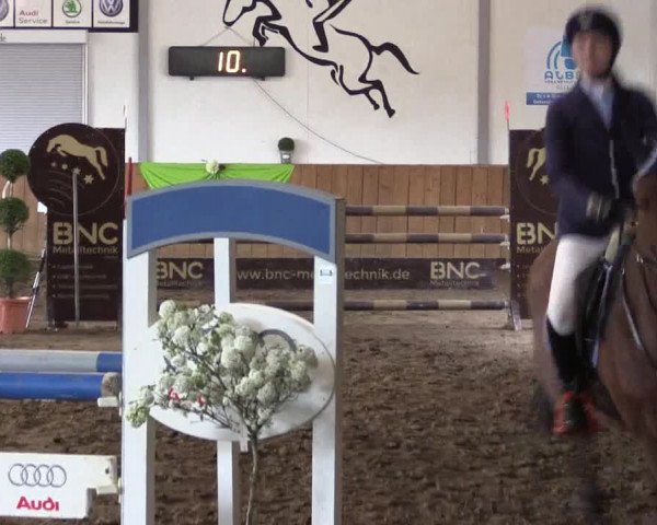 Reitturnier Dohrener Pferdetage 2017