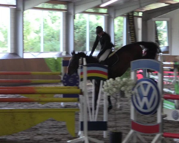 Reitturnier Dohrener Pferdetage 2017