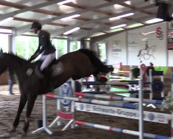Reitturnier Dohrener Pferdetage 2017