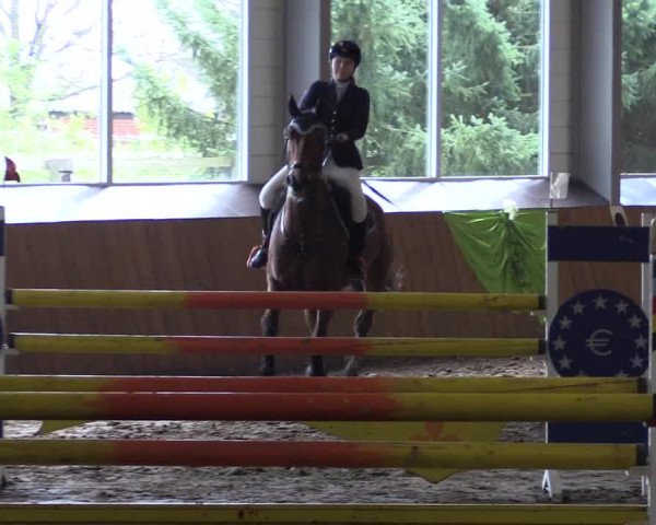 Reitturnier Dohrener Pferdetage 2017