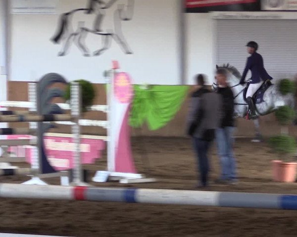Reitturnier Dohrener Pferdetage 2017