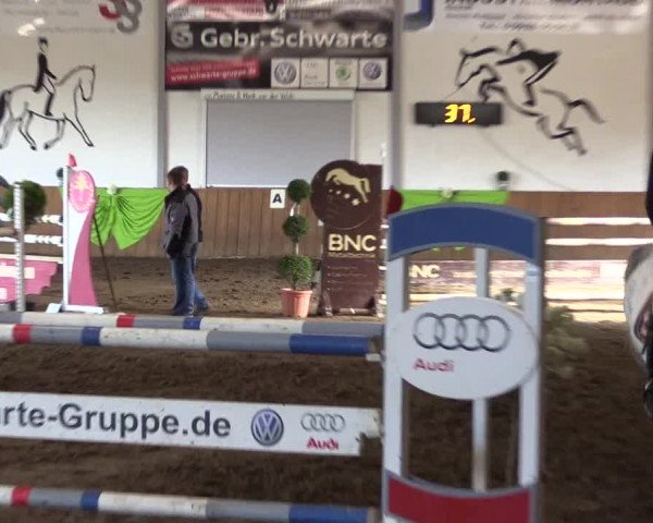 Reitturnier Dohrener Pferdetage 2017
