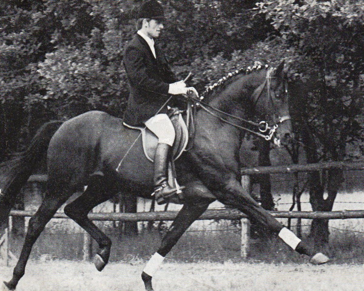 Deckhengst Marsilio xx (Englisches Vollblut, 1963, von Masetto xx)