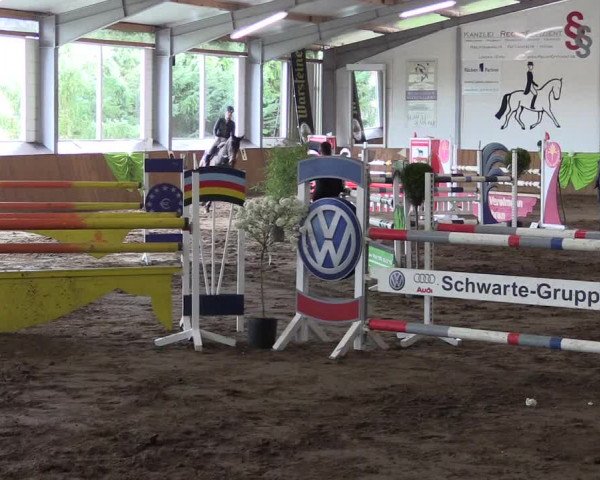 Reitturnier Dohrener Pferdetage 2017