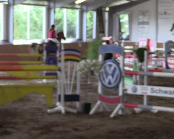Reitturnier Dohrener Pferdetage 2017