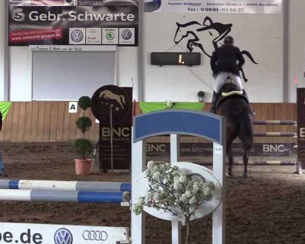 Reitturnier Dohrener Pferdetage 2017