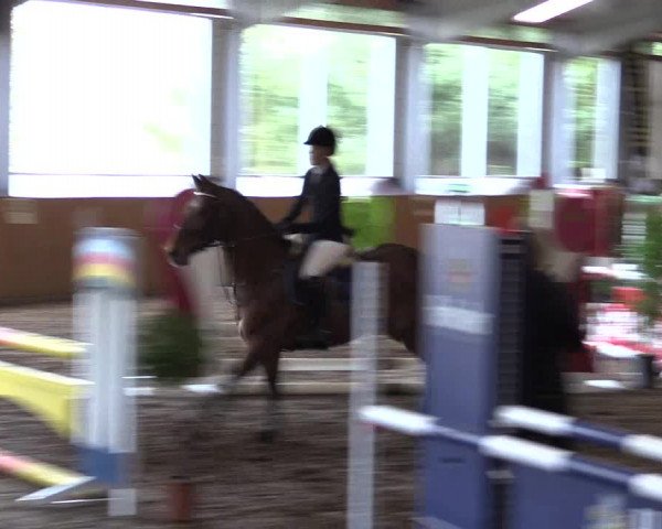Reitturnier Dohrener Pferdetage 2017