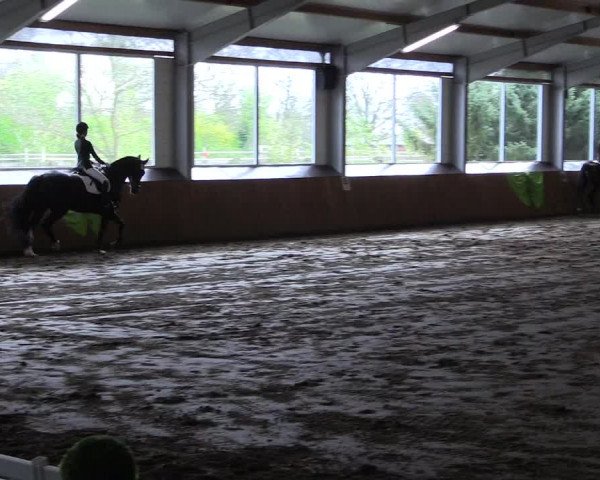 Reitturnier Dohrener Pferdetage 2017
