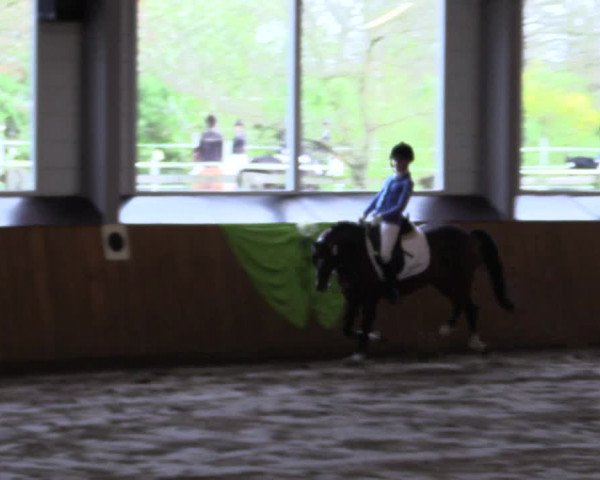 Reitturnier Dohrener Pferdetage 2017