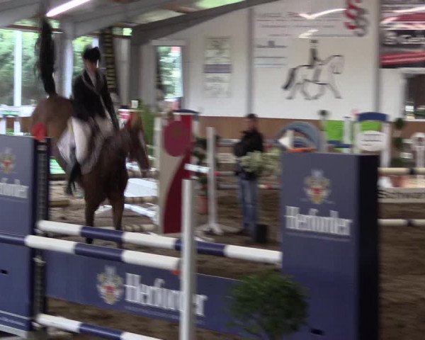 Reitturnier Dohrener Pferdetage 2017