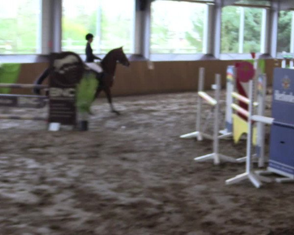 Reitturnier Dohrener Pferdetage 2017