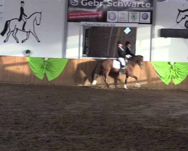 Reitturnier Dohrener Pferdetage 2017