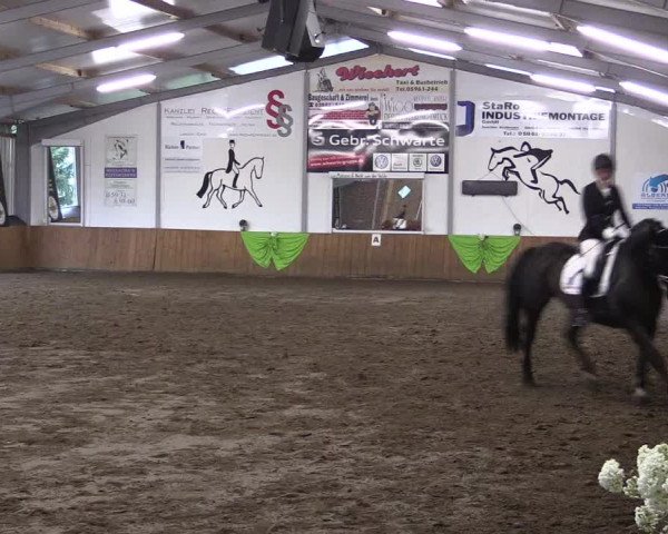 Reitturnier Dohrener Pferdetage 2017