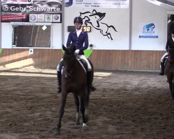 Reitturnier Dohrener Pferdetage 2017