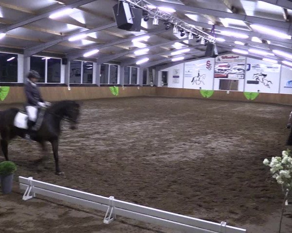 Reitturnier Dohrener Pferdetage 2017